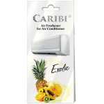 Odorizant Pentru Aer Conditionat Exotic-AO065EXO