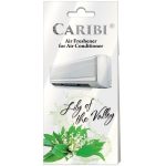 Odorizant Pentru Aer Conditionat Lilly Of The Valey-AO065VAL