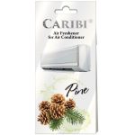 Odorizant Pentru Aer Conditionat Pin-AO065PIN