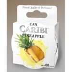 Odorizant Caribi Can Ananas-AO105ANA